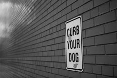 curb-your-dog-new-york-vilesilencer