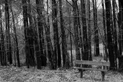 hill-end-woods-bench-vilesilencer