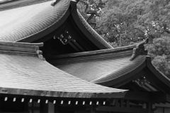meji-shrine-shubiya-vilesilencer