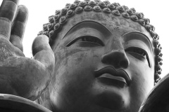 tian-tan-buddha-vilesilencer