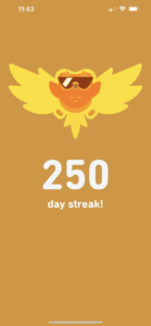 Project Tetsubo (Day 250): Duolingo Learning Japanese 250-Day Streak